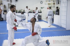 Curso Shiai Kumite e Reigi Saho