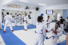 Curso Shiai Kumite e Reigi Saho