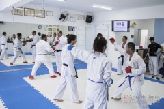 Curso Shiai Kumite e Reigi Saho