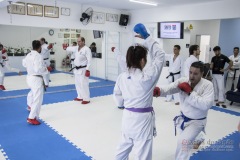 Curso Shiai Kumite e Reigi Saho