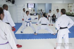 Curso Shiai Kumite e Reigi Saho