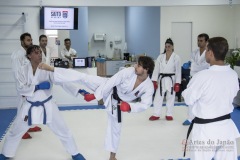 Curso Shiai Kumite e Reigi Saho