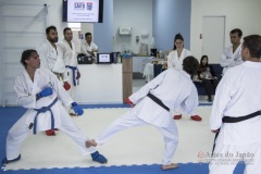 Curso Shiai Kumite e Reigi Saho