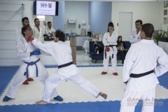 Curso Shiai Kumite e Reigi Saho