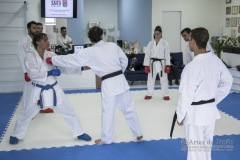 Curso Shiai Kumite e Reigi Saho