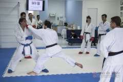 Curso Shiai Kumite e Reigi Saho