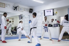 Curso Shiai Kumite e Reigi Saho