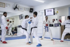 Curso Shiai Kumite e Reigi Saho