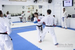 Curso Shiai Kumite e Reigi Saho