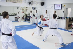 Curso Shiai Kumite e Reigi Saho