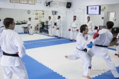 Curso Shiai Kumite e Reigi Saho