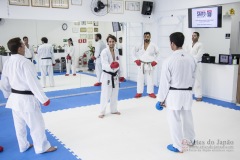 Curso Shiai Kumite e Reigi Saho