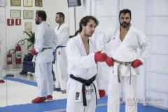 Curso Shiai Kumite e Reigi Saho