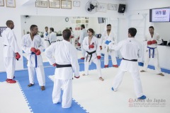 Curso Shiai Kumite e Reigi Saho