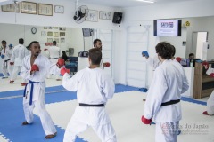 Curso Shiai Kumite e Reigi Saho