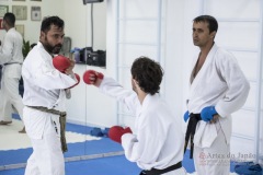 Curso Shiai Kumite e Reigi Saho