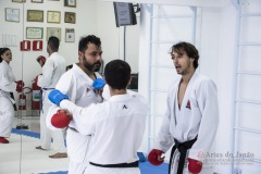 Curso Shiai Kumite e Reigi Saho