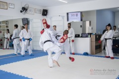 Curso Shiai Kumite e Reigi Saho