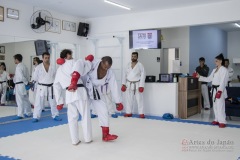 Curso Shiai Kumite e Reigi Saho