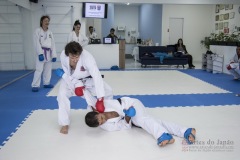 Curso Shiai Kumite e Reigi Saho