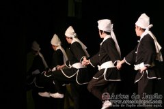 Espetaculo-de-Danca-Tradicional-de-Okinawa-010