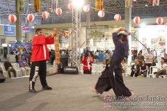Festival do Japao 2011 - Dia 1 - 180