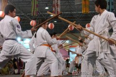 Festival do Japao 2011 - Dia 2 - 0191