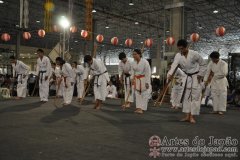 Festival do Japao 2011 - Dia 2 - 0201