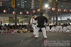 Festival do Japao 2011 - Dia 2 - 0214