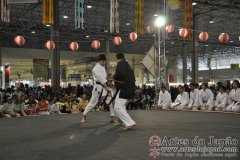 Festival do Japao 2011 - Dia 2 - 0215
