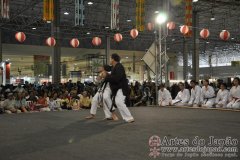 Festival do Japao 2011 - Dia 2 - 0217