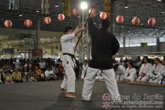 Festival do Japao 2011 - Dia 2 - 0221