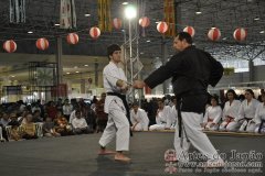 Festival do Japao 2011 - Dia 2 - 0227