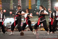 Festival do Japao 2011 - Dia 3 - 174
