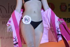 Festival do Japao 2011 - Miss Nikkey - 003