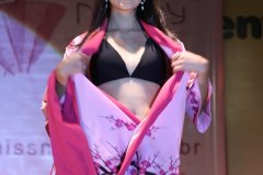 Festival do Japao 2011 - Miss Nikkey - 051