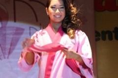 Festival do Japao 2011 - Miss Nikkey - 069
