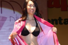 Festival do Japao 2011 - Miss Nikkey - 082