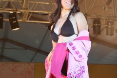 Festival do Japao 2011 - Miss Nikkey - 084