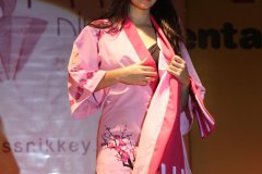 Festival do Japao 2011 - Miss Nikkey - 132