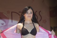 Festival do Japao 2011 - Miss Nikkey - 165