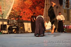 Festival do Japao 2012 - Dia 1 - 0056