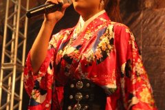 Festival do Japao 2012 - Dia 1 - 0072