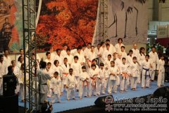 Festival do Japao 2012 - Dia 2 - 0018