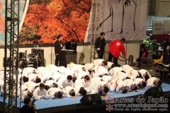 Festival do Japao 2012 - Dia 2 - 0019
