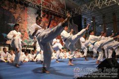 Festival do Japao 2012 - Dia 2 - 0066
