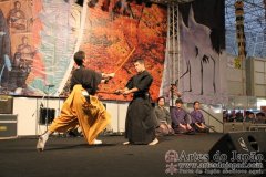 Festival do Japao 2012 - Dia 2 - 0072