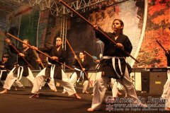 Festival do Japao 2012 - Dia 2 - 1167
