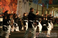 Festival do Japao 2012 - Dia 2 - 1172