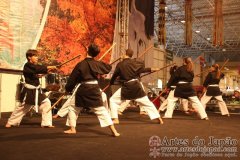 Festival do Japao 2012 - Dia 2 - 1175